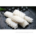 /msite/products/detail/productid/63247474/id/1520676.html